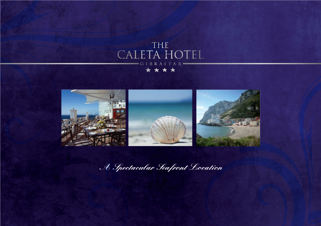 Caleta Brochure.Pdf