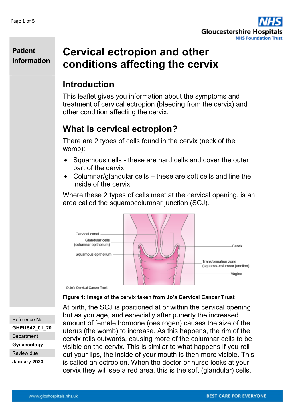 Cervical Ectropion and Other Conditions Affecting the Cervix