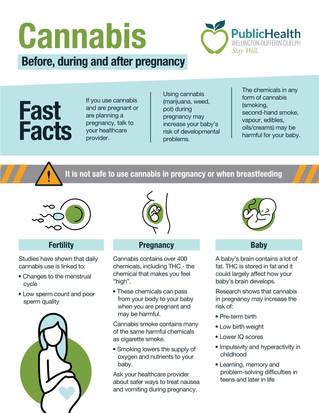 Cannabis and Pregnancy Fact Sheet