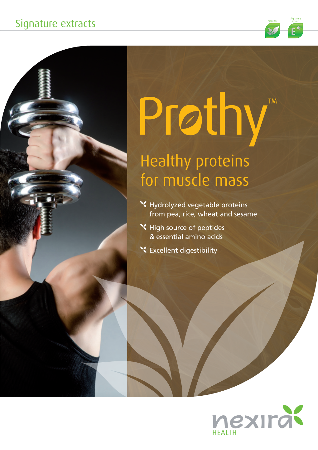 Healthy Proteins for Muscle Mass