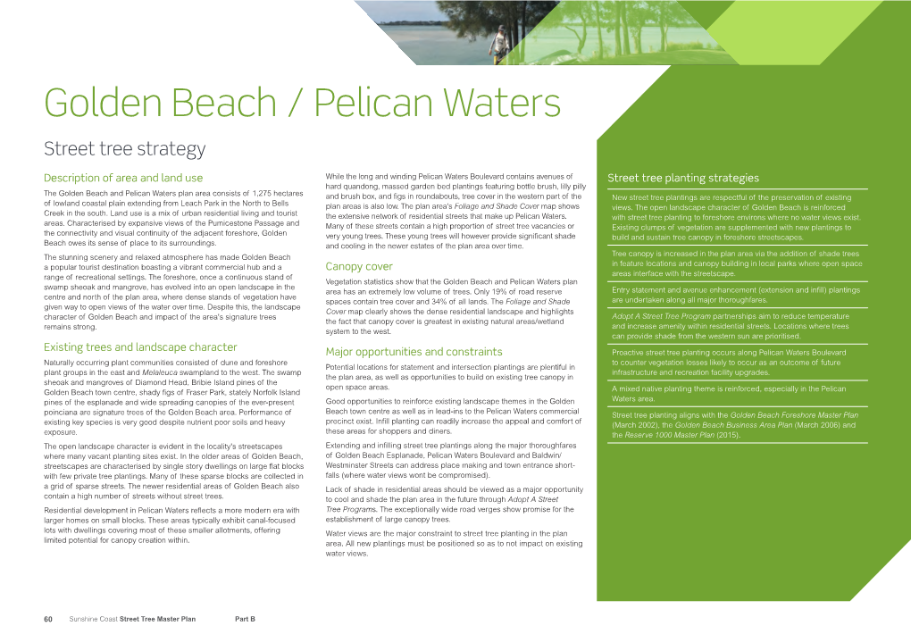 Golden Beach / Pelican Waters Street Tree Strategy