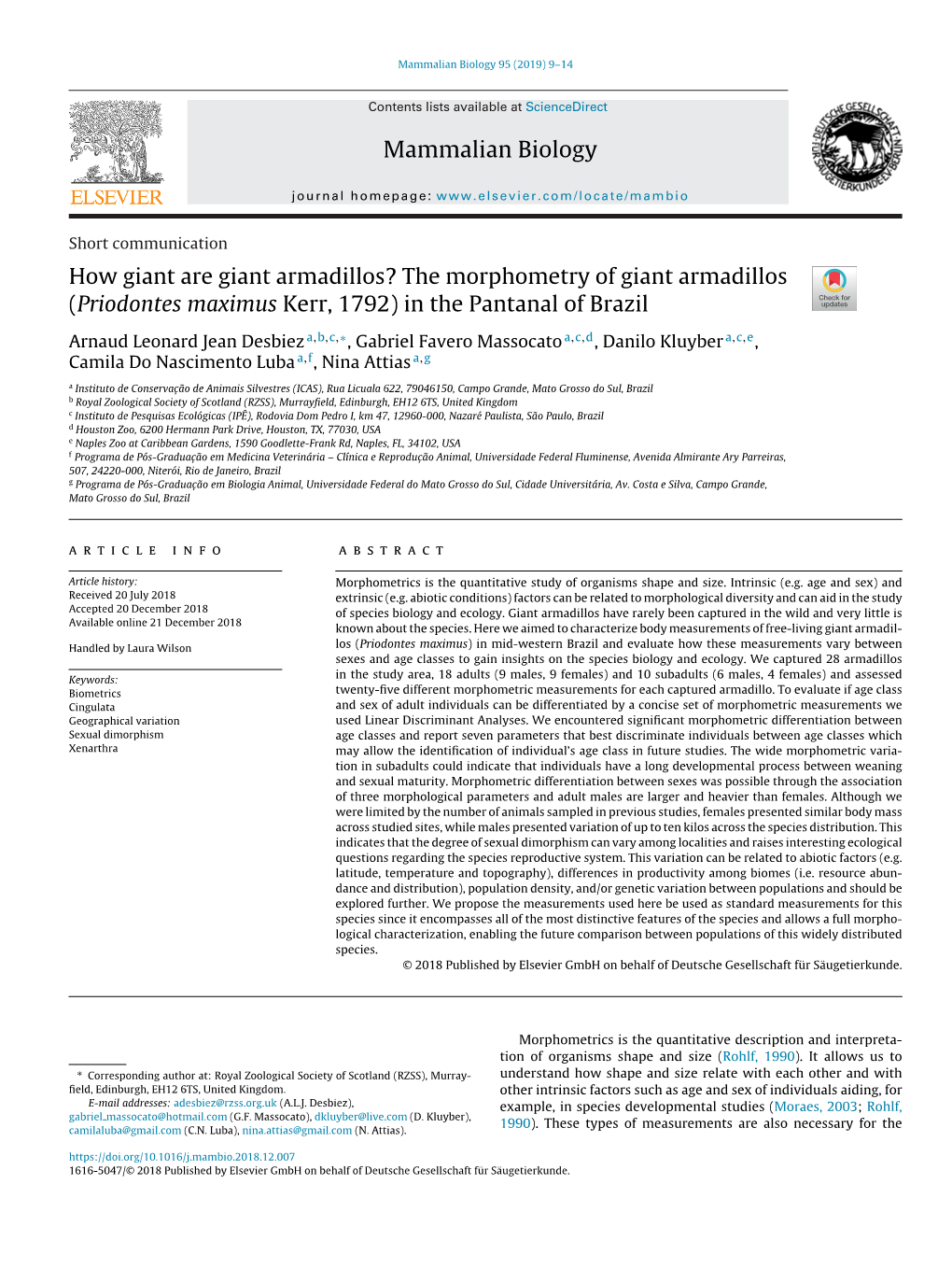 How Giant Are Giant Armadillos? the Morphometry of Giant Armadillos