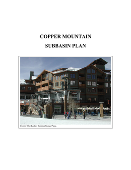 Copper Mountain Subbasin Plan