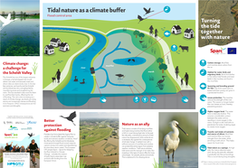 Tidal Nature As a Climate Buffer Flood Control Area Turning the Tide Together with Nature