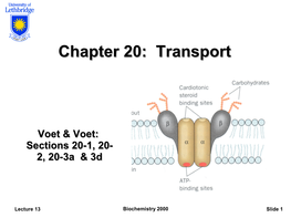 Chapter 20: Transport