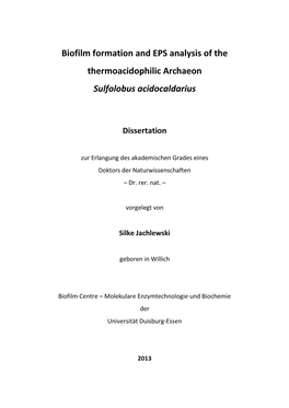 Biofilm Formation and EPS Analysis of the Thermoacidophilic Archaeon