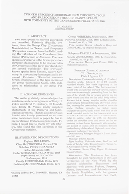 Two New Species of Muricinae from the Cretaceous and Paleocene of the Gulf Coastal Plain with Comments on the Genus Odontopolys Gabb, 1860