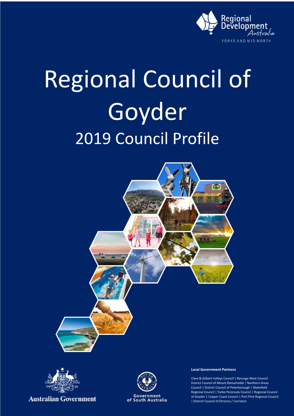 Regional Council of Goyder