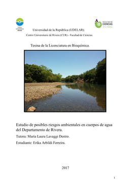 Estudio De Posibles Riesgos Ambientales En Cuerpos De Agua Del Departamento De Rivera