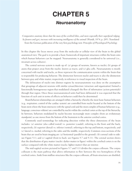 Chapter 5 Neuroanatomy