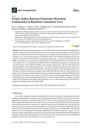 Purple Sulfur Bacteria Dominate Microbial Community in Brazilian Limestone Cave
