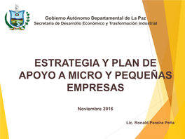 Estrategia Y Plan De Apoyo a Micro Y Pequeñas Empresas