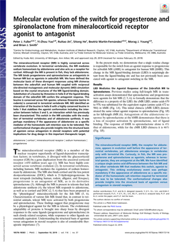 Molecular Evolution of the Switch for Progesterone and Spironolactone from Mineralocorticoid Receptor Agonist to Antagonist