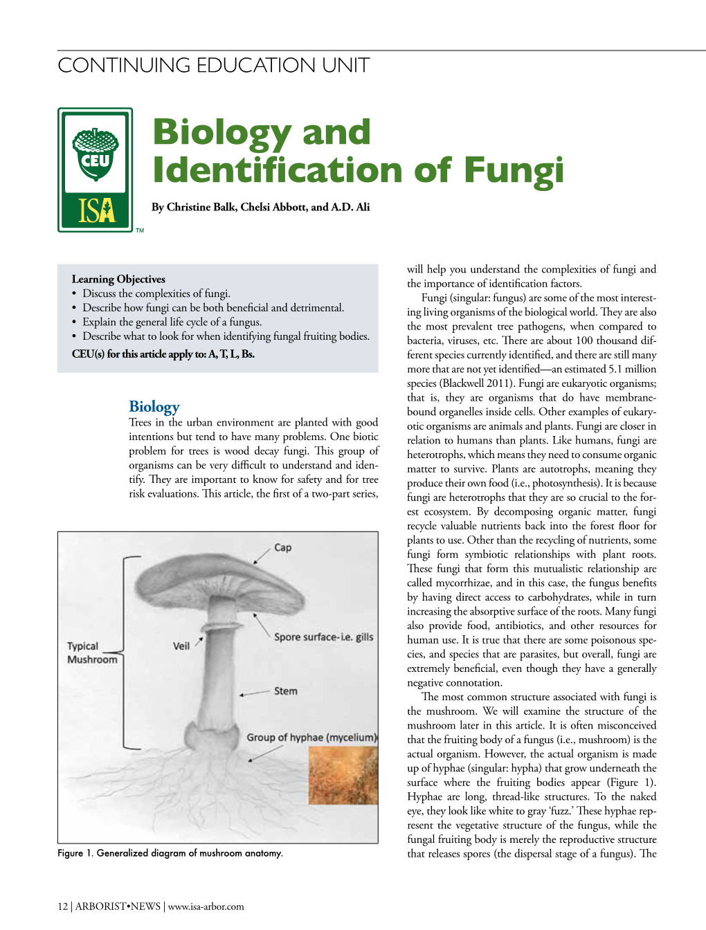Biology and Identification of Fungi by Christine Balk, Chelsi Abbott, and A.D