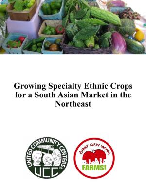Growing Specialty Ethnic Crops for a South Asian Market in the Northeast