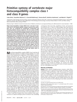 Primitive Synteny of Vertebrate Major Histocompatibility Complex Class I and Class II Genes