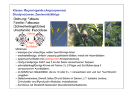 Fabales Familie: Fabaceae (Schmetterlingsblütler) Unterfamilie: Faboideae Fahne