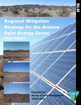 Regional Mitigation Strategy for the Arizona Solar Energy Zones