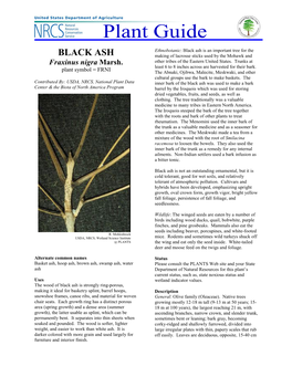 Black Ash Is an Important Tree for the BLACK ASH Making of Lacrosse Sticks Used by the Mohawk and Fraxinus Nigra Marsh