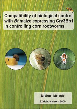 Compatibility of Biological Control with Maize Expressing Cry3bb1 In