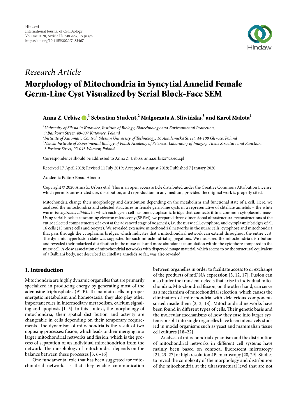 Research Article Morphology of Mitochondria in Syncytial Annelid Female Germ-Line Cyst Visualized by Serial Block-Face SEM