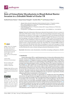 Role of Extracellular Mycobacteria in Blood-Retinal Barrier Invasion in a Zebraﬁsh Model of Ocular TB