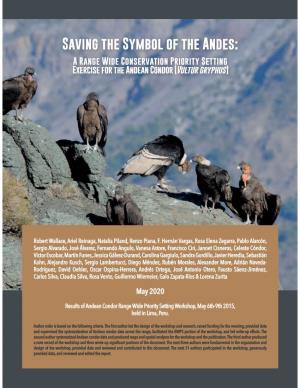 Saving the Symbol of the Andes: a Range Wide Conservation Priority Setting Exercise for the Andean