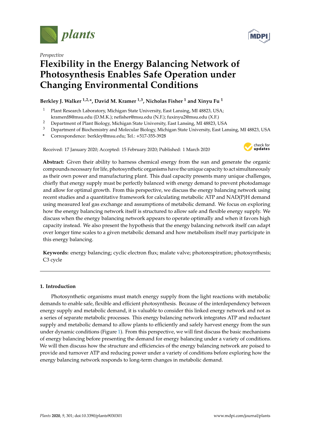 Flexibility in the Energy Balancing Network of Photosynthesis Enables Safe Operation Under Changing Environmental Conditions