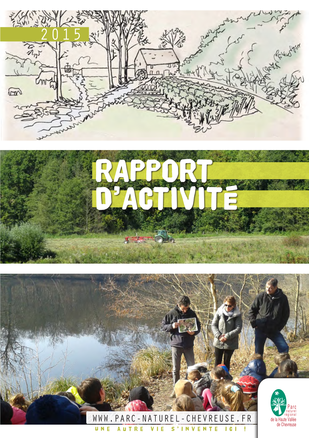 Rapport D'activité