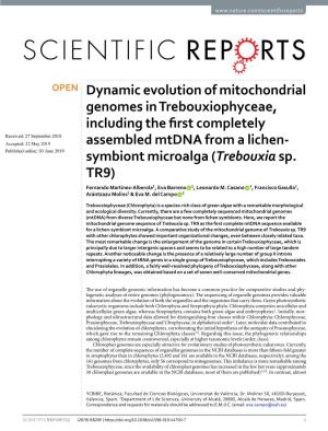 Dynamic Evolution of Mitochondrial Genomes in Trebouxiophyceae