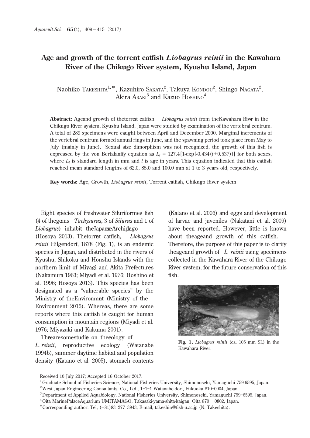 Age and Growth of the Torrent Catfish Liobagrus Reinii in the Kawahara River of the Chikugo River System, Kyushu Island, Japan