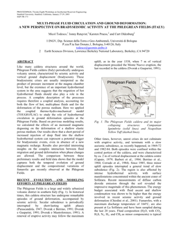 A New Perspective on Bradyseismic Activity at the Phlegrean Fields (Italy)