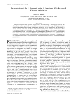 Paramutation of the R1 Locus of Maize Is Associated with Increased Cytosine Methylation