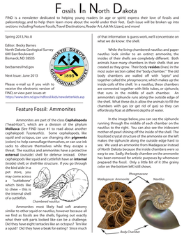 Fossils in North Dakota