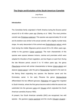 The Origin and Evolution of the South American Camelids