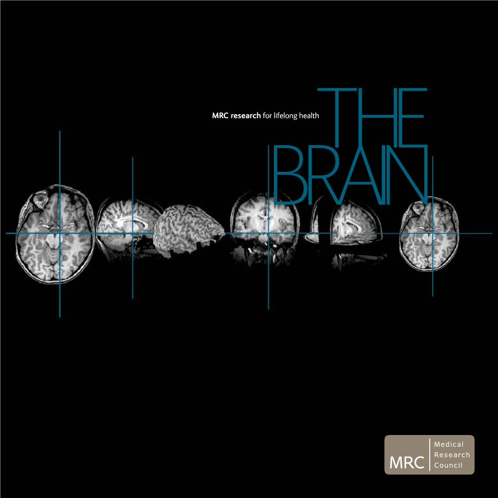 The Brain – Explaining What the Brain Is and What We Do and Don’T Know About How It Works