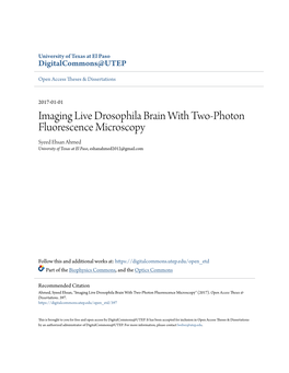 Imaging Live Drosophila Brain with Two-Photon Fluorescence Microscopy Syeed Ehsan Ahmed University of Texas at El Paso, Eshanahmed2012@Gmail.Com