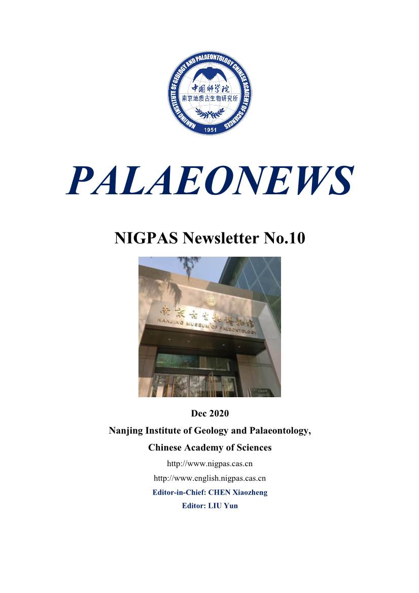 Palaeonews No 10 for 2020 (PDF)