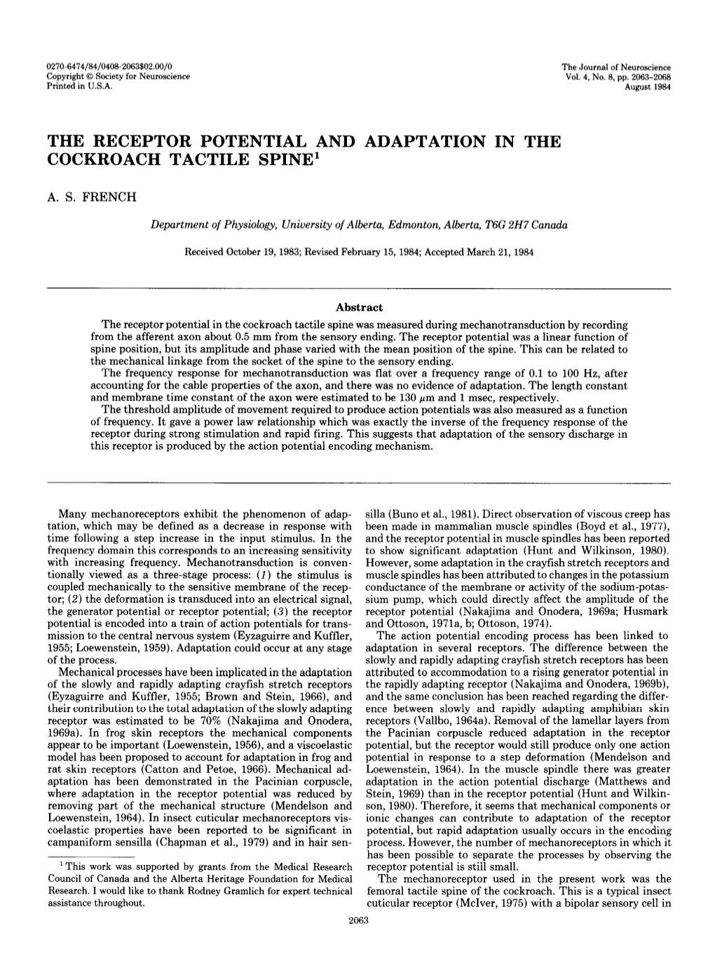 The Receptor Potential and Adaptation in the Cockroach Tactile Spine1