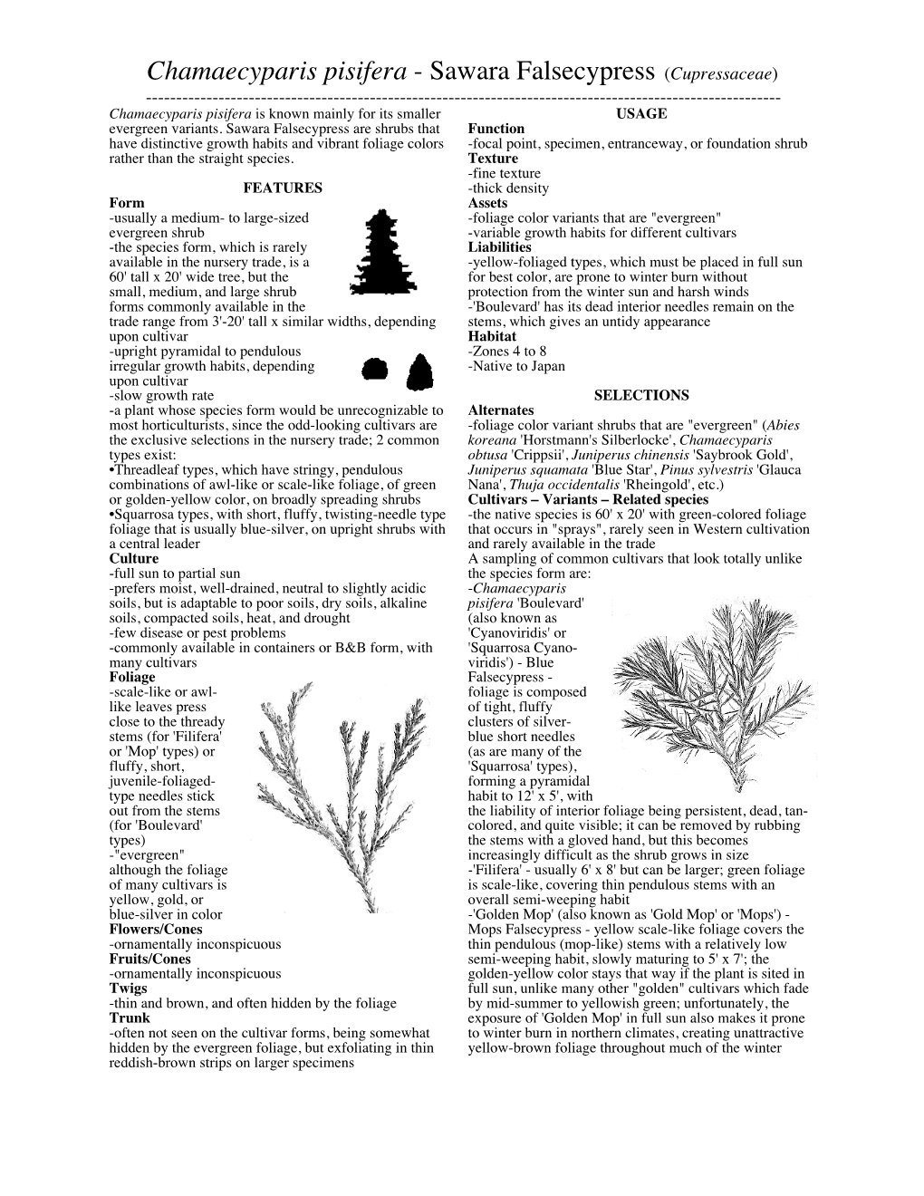 Chamaecyparis Pisifera - Sawara Falsecypress (Cupressaceae) ------Chamaecyparis Pisifera Is Known Mainly for Its Smaller USAGE Evergreen Variants