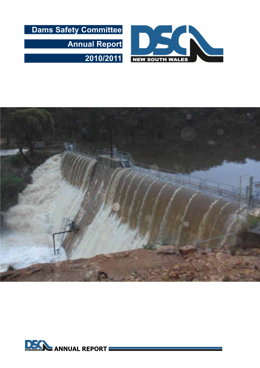 Dams Safety Committee Annual Report