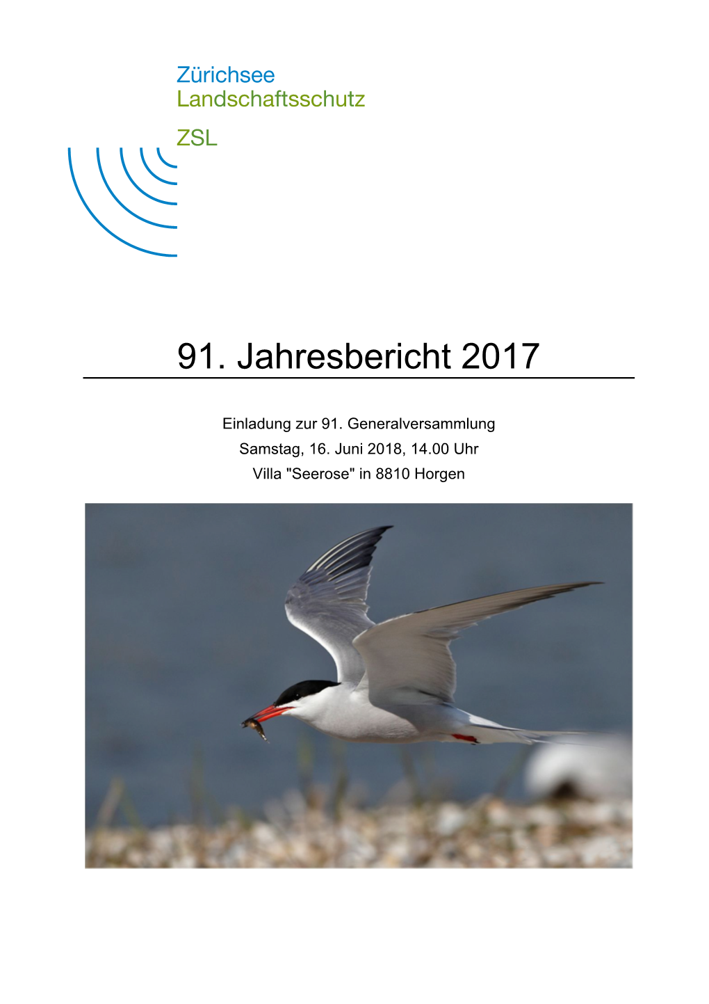 91. Jahresbericht 2017