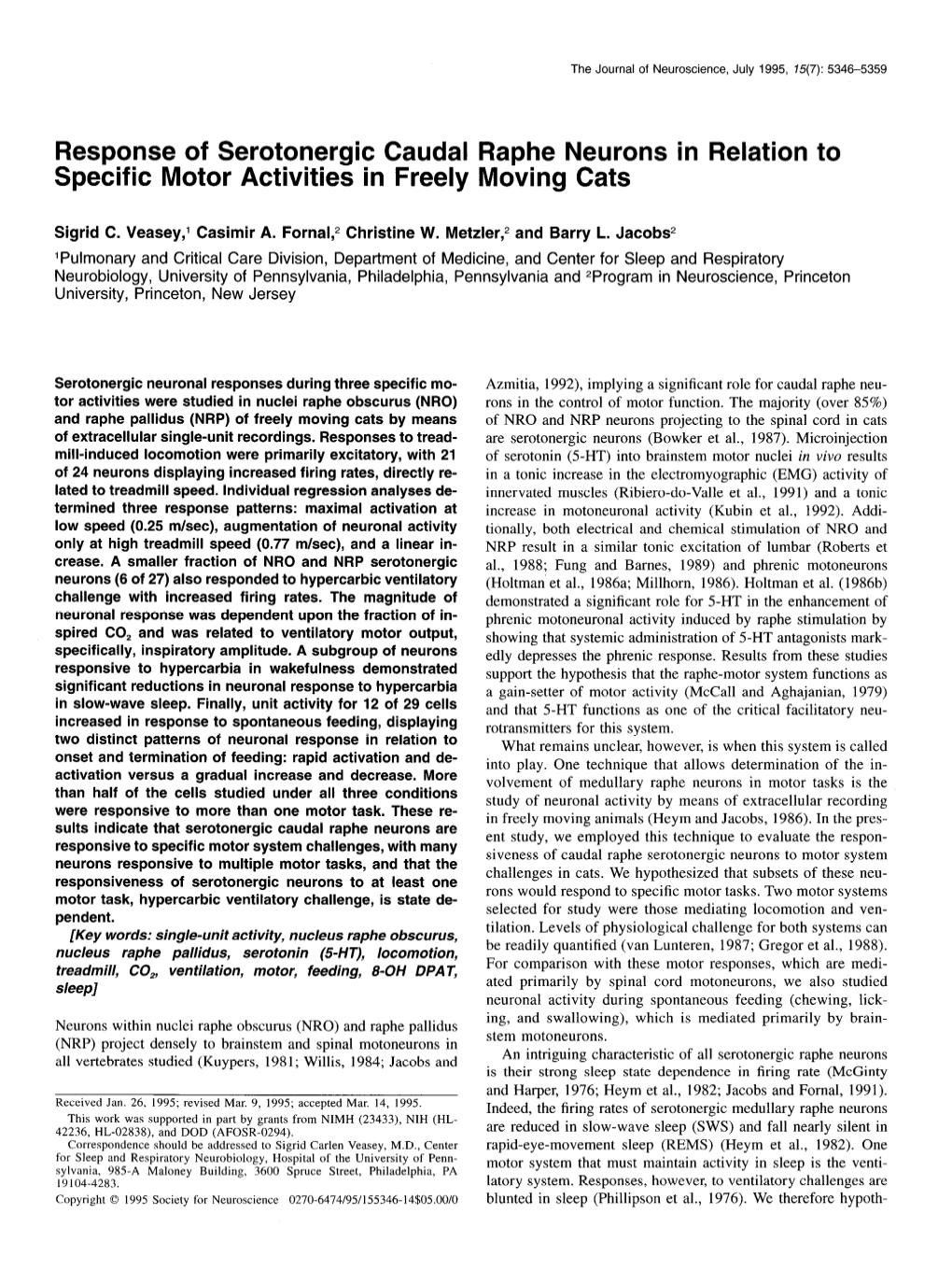 Response of Serotonergic Caudal Raphe Neurons in Relation to Specific Motor Activities in Freely Moving Cats