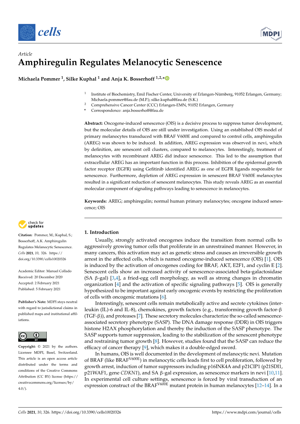 Amphiregulin Regulates Melanocytic Senescence