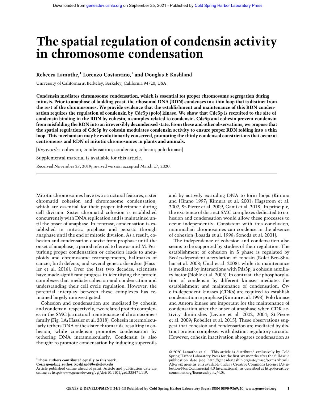 The Spatial Regulation of Condensin Activity in Chromosome Condensation