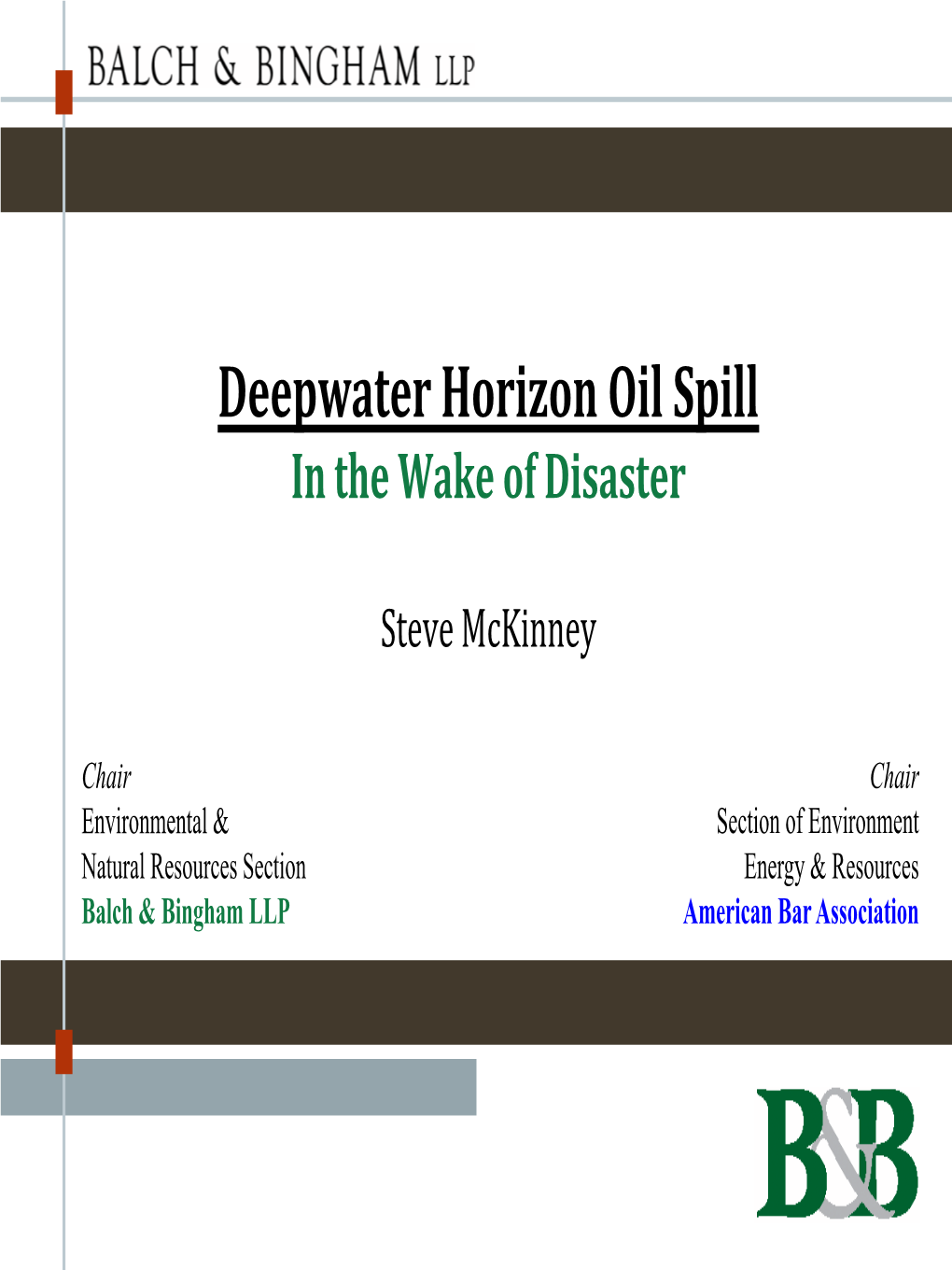 Deepwater Horizon Oil Spill in the Wake of Disaster