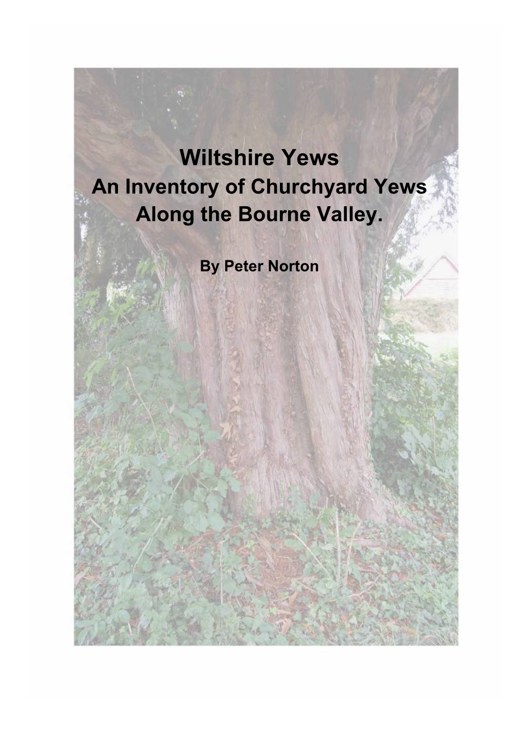 Wiltshire Yews an Inventory of Churchyard Yews Along the Bourne Valley