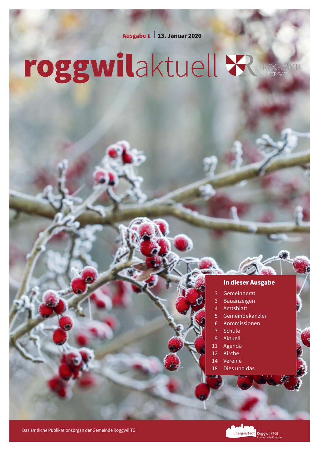 In Dieser Ausgabe I13. Januar 2020