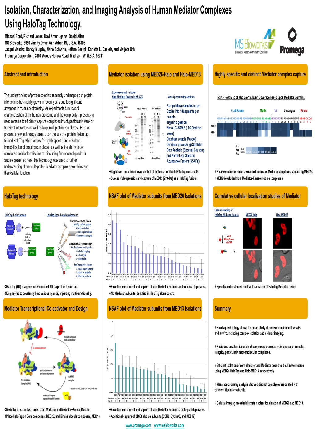 Isolation, Characterization and Imaging Analysis Of