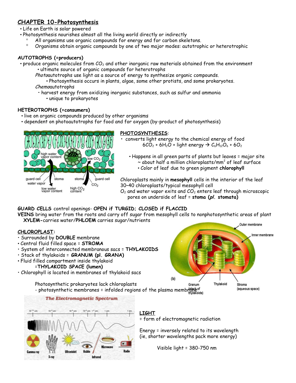 CHAPTER 10-Photosynthesis